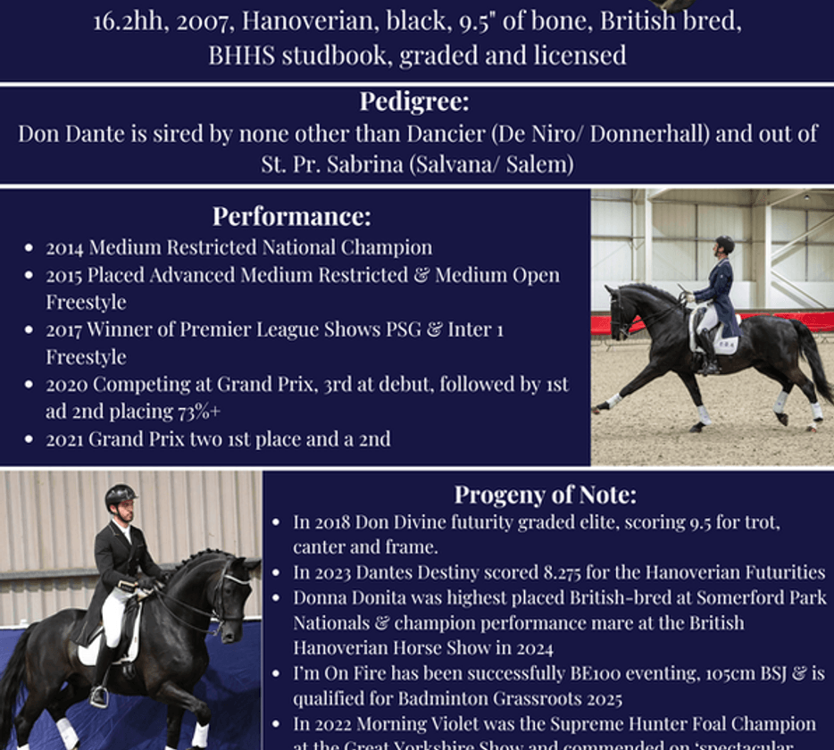 Brand design examples