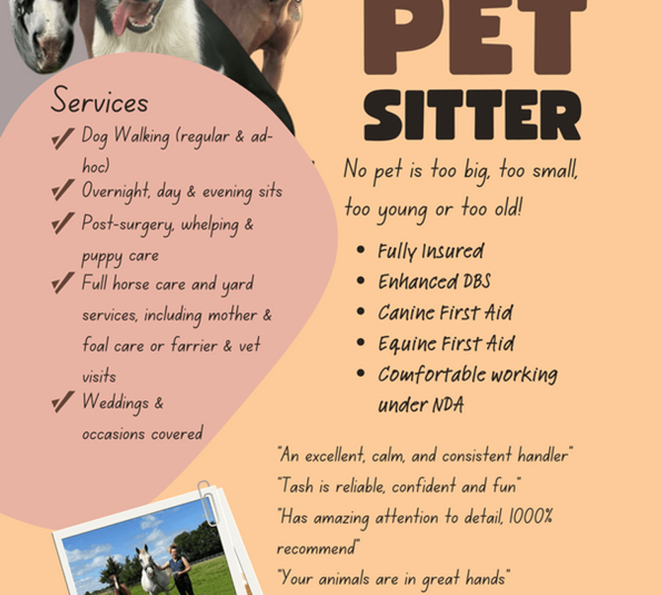 Pet sitting digital flyer